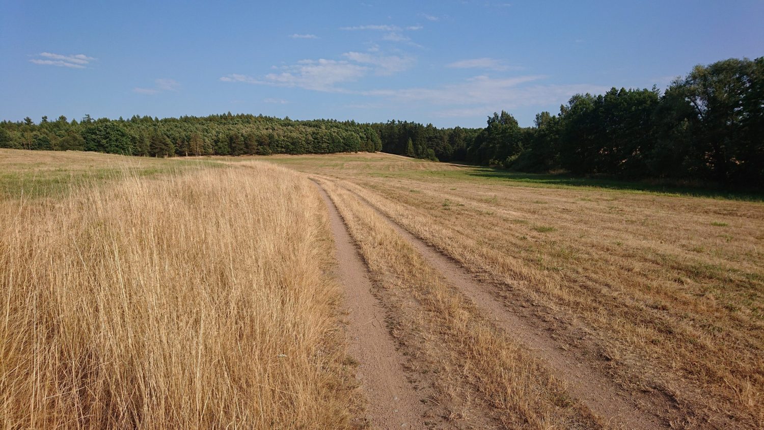 Dovolená 7.7. – 11.7.2025, 4.7.2025 zavřeno